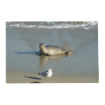 Harbor Seal at La Jolla California Placemat