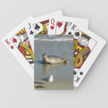 Harbor Seal at La Jolla California Poker Cards