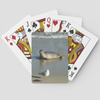 Harbor Seal at La Jolla California Poker Cards