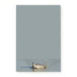 Harbor Seal at La Jolla California Post-it Notes