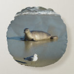 Harbor Seal at La Jolla California Round Pillow