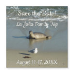 Harbor Seal at La Jolla California Save the Date