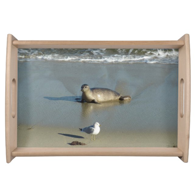 Harbor Seal at La Jolla California Serving Tray (Front)