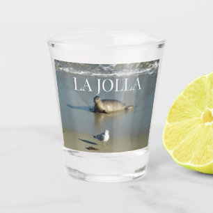 Harbor Seal at La Jolla California Shot Glass