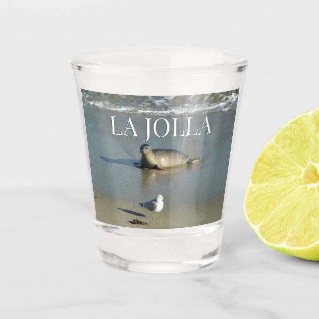 Harbor Seal at La Jolla California Shot Glass (Front)