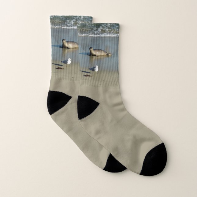 Harbor Seal at La Jolla California Socks (Pair)
