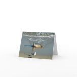 Harbor Seal at La Jolla California Thank You Card