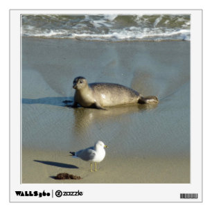 Harbor Seal at La Jolla California Wall Decal