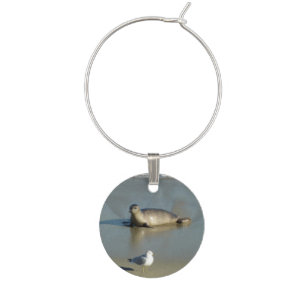 Harbor Seal at La Jolla California Wine Charm
