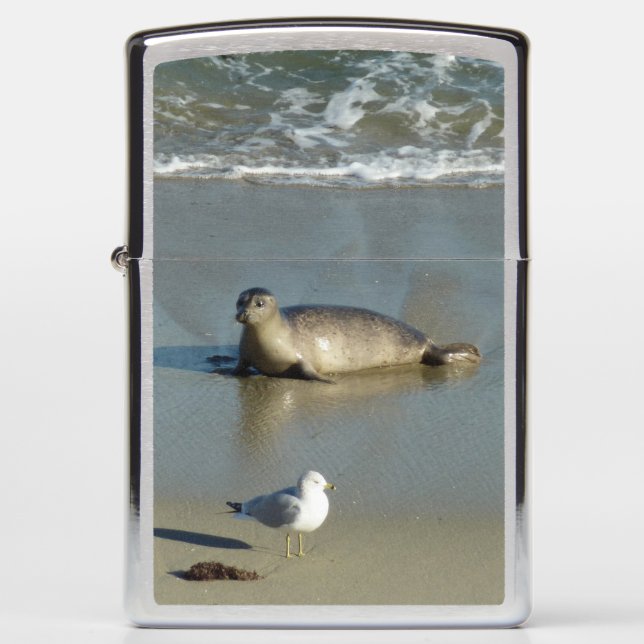 Harbor Seal at La Jolla California Zippo Lighter (Front)