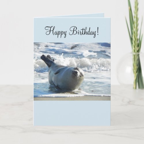 Harbor Seal Birthday Card