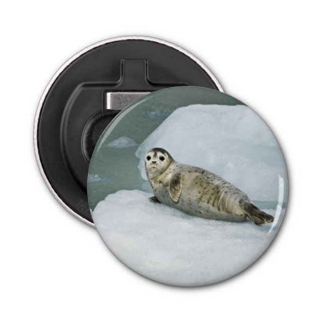 Harbor Seal Bottle Opener (Front)