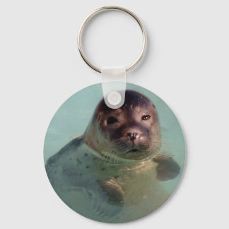 Harbor Seal Keychain
