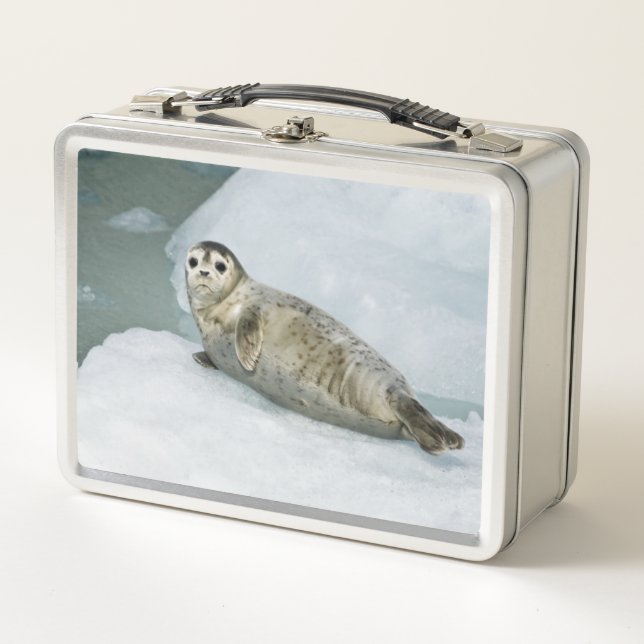 Harbor Seal Metal Lunch Box (Front)
