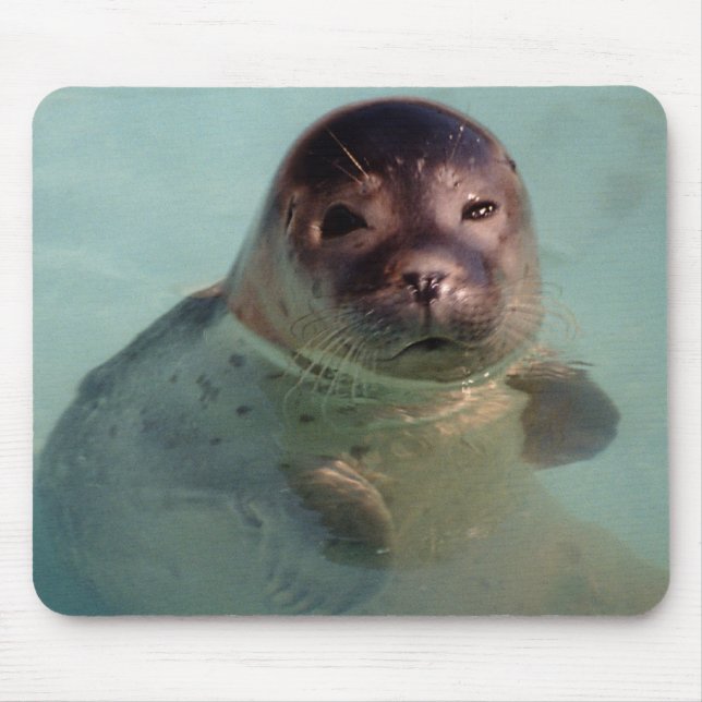 Harbor Seal Mouse Pad (Front)