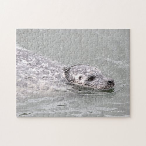 Harbor Seal Plying Waters Around the Pier Dock Jigsaw Puzzle