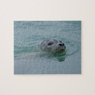 Harbor Seal swimming in Jokulsarlon glacial lake Jigsaw Puzzle