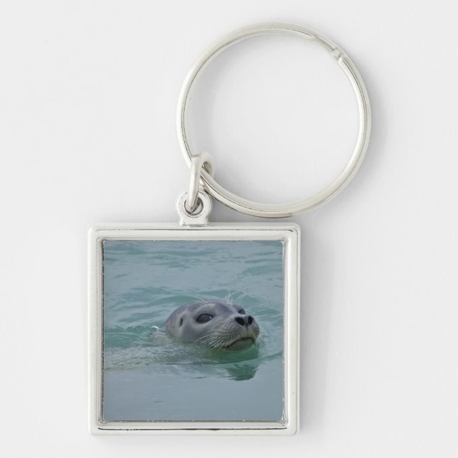 Harbor Seal swimming in Jokulsarlon glacial lake Keychain (Front)