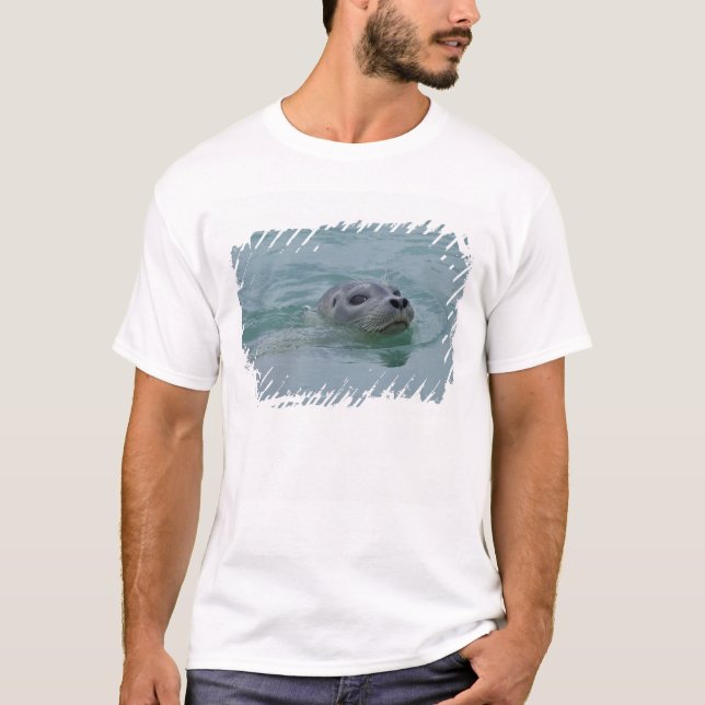 Harbor Seal swimming in Jokulsarlon glacial lake T-Shirt (Front)
