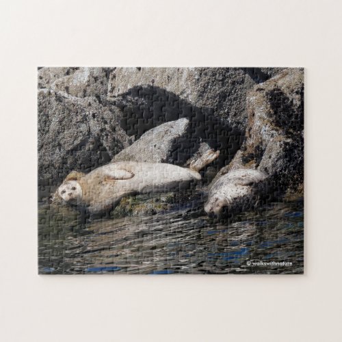 Harbor Seals Basking in the Summer Sun Jigsaw Puzzle