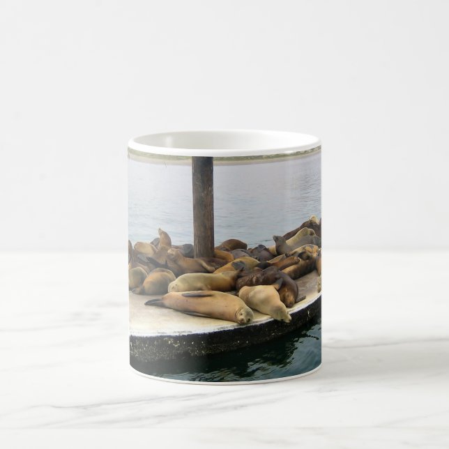 Harbor Seals, Morro Bay, California Coffee Mug (Center)