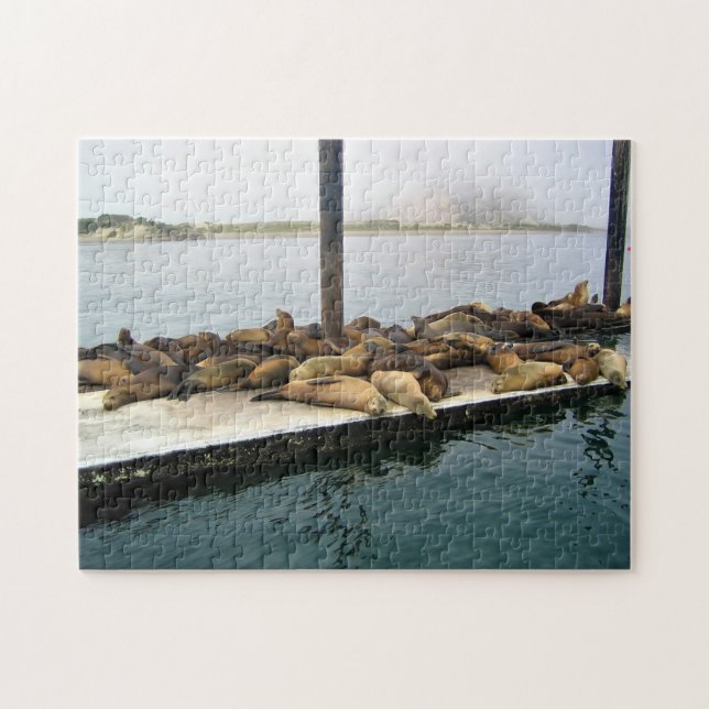 Harbor Seals, Morro Bay, California Jigsaw Puzzle (Horizontal)