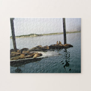 Harbor Seals, Morro Bay, California Jigsaw Puzzle
