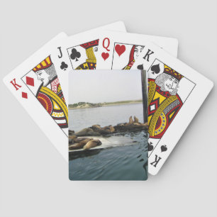 Harbor Seals, Morro Bay, California Poker Cards