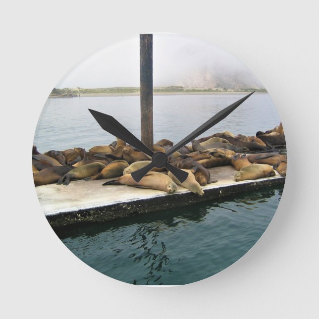 Harbor Seals, Morro Bay, California Round Clock (Front)