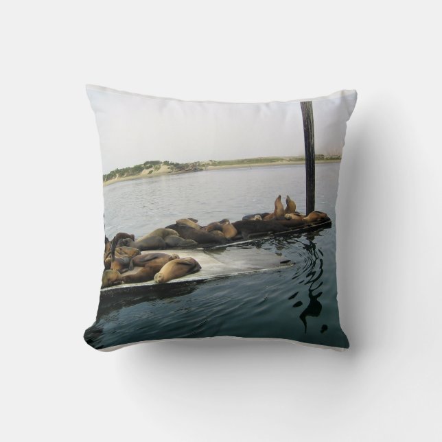 Harbor Seals, Morro Bay, California Throw Pillow (Front)