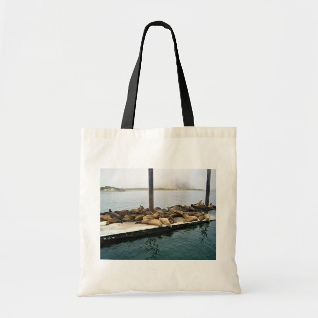 Harbor Seals, Morro Bay, California Tote Bag (Front)