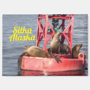 Harbor Seals - Sitka Alaska Rectangular Magnet