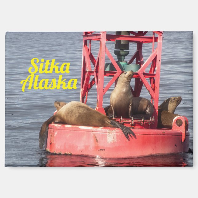 Harbor Seals - Sitka Alaska Rectangular Magnet (Front)