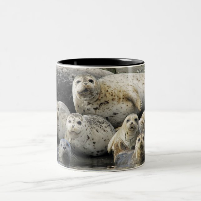 Harbor Seals Two-Tone Coffee Mug (Center)
