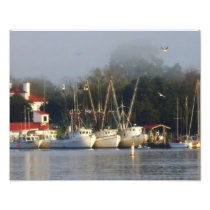 Harbor Shrimp Boats at Morning Photo Print