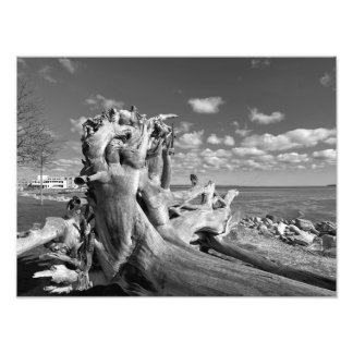 Harbor View - Plymouth, Massachusetts Photo Print