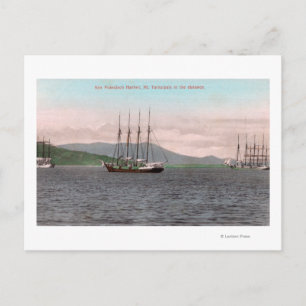 Harborview of Bay and Mt. Tamalpais Postcard
