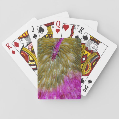 Hard Coral Abstract Poker Cards