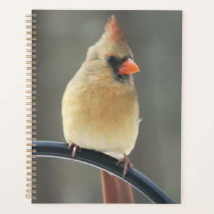 Hard Cover Daily Planner