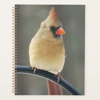 Hard Cover Daily Planner by lifethroughalens at Zazzle
