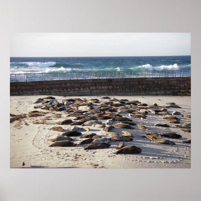 Hard day in the surf poster (Front)