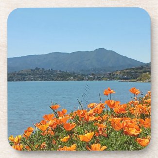 Hard plastic coaster set Mt Tamalpais Poppies