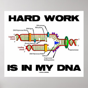 Hard Work Is In My DNA (DNA Replication) Poster