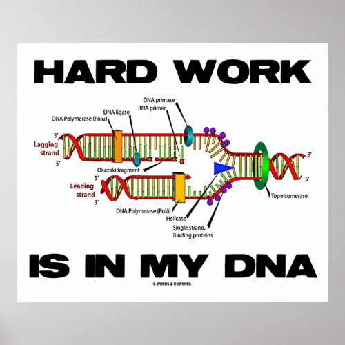 Hard Work Is In My DNA DNA Replication Poster