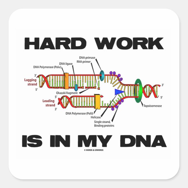 Hard Work Is In My DNA (DNA Replication) Square Sticker (Front)