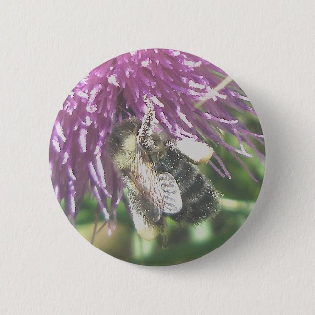 Hard-Working Bumble Bee Button (Front)