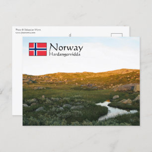 Hardangervidda Norway Postcard