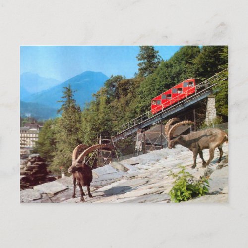 Harder Kulm Funicular Railway Interlaken Postcard