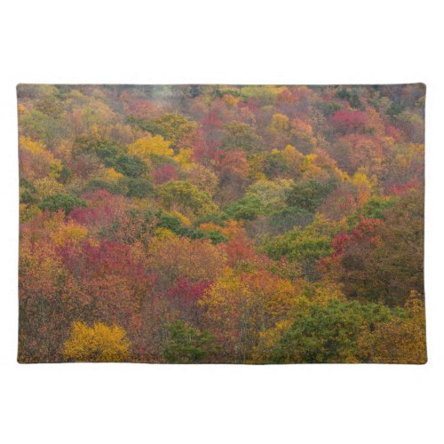 Hardwood Forest in Randolph County West Virginia Cloth Placemat