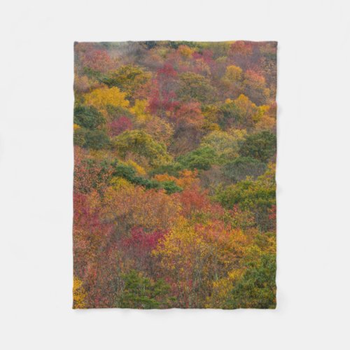 Hardwood Forest in Randolph County West Virginia Fleece Blanket
